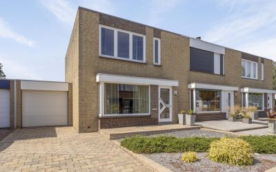 Korenbloem 6