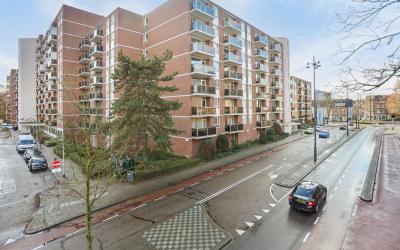 Mariabad 59