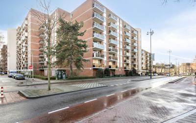 Mariabad 71