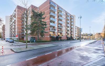 Mariabad 100