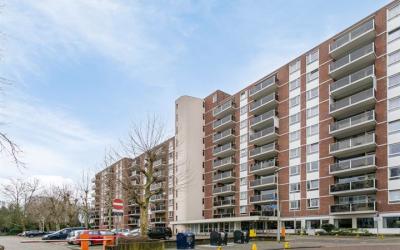 Mariabad 214