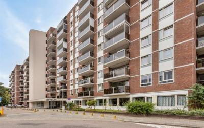 Mariabad 246