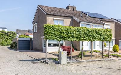 Pronsebroek. 1