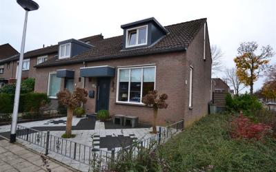 Paardestaar. 2