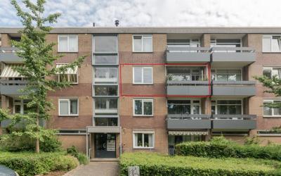 Palmstraat 36