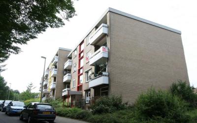 Palmstraat 8