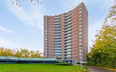 Drieoortsput 10