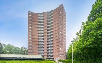 Drieoortsput 56