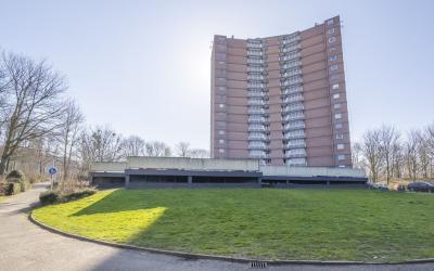 Drieoortsput 65