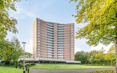Drieoortsput 113