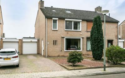 Kollebloem 22