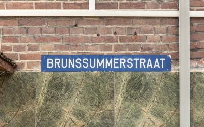 Brunssummer. 61