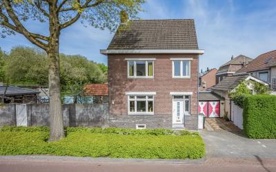 Groene Krui. 18