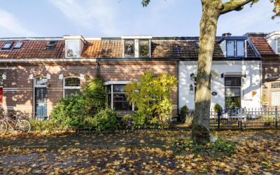Piet Heinst. 36