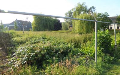 Griftdijk 62