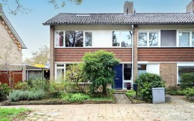 Willem Dege. 8