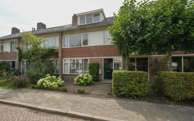 Willem Dege. 36