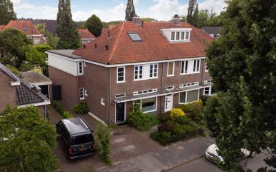 Brakkenstei. 31
