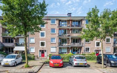 Wolfstraat 24