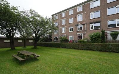 Wolfstraat 4