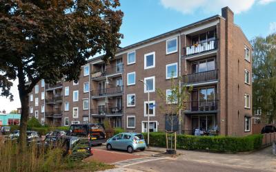 Tijgerstraat 41