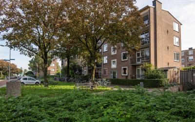 Tijgerstraat 141