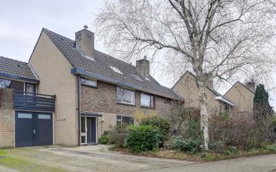 Dingostraat 55