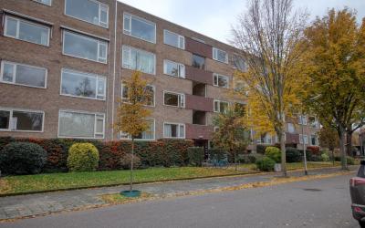 Dingostraat 24
