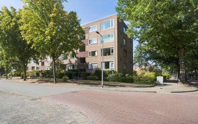 Dingostraat 4