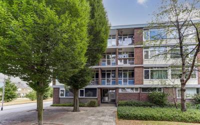 Nieuwe Mollenhutseweg 53