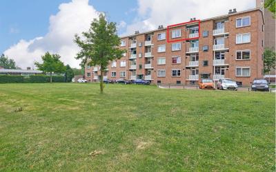 Pijlstaarth. 20