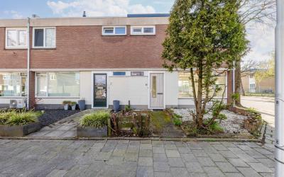 Sandenburgs. 31