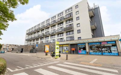 Treubstraat 146
