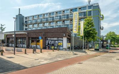 Treubstraat 190