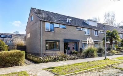 Lankforst 1129