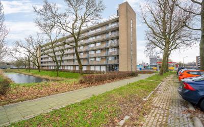 Lankforst 1154