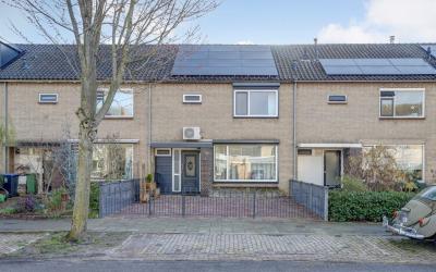 Lankforst 2105