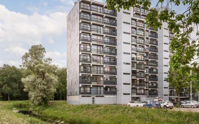 Lankforst 5648