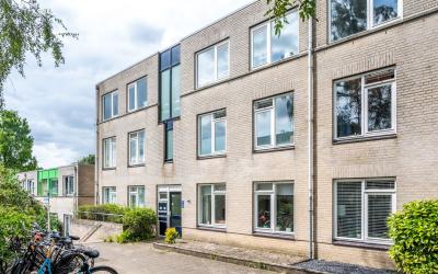 Ridderspoor 77