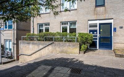 Ridderspoor 79