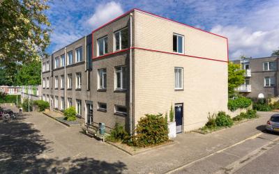 Ridderspoor 97
