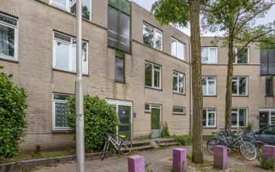 Ridderspoor 14