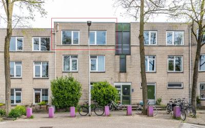 Ridderspoor 20