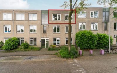 Ridderspoor 32