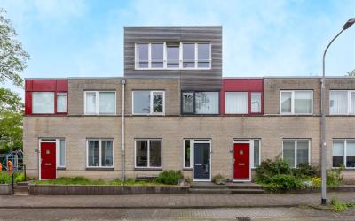 Ridderspoor 54