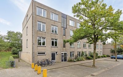 Ridderspoor 126