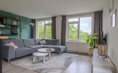 Ridderspoor 130