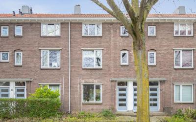 Zonnebloems. 39