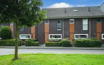 Pé Hawinkel. 76