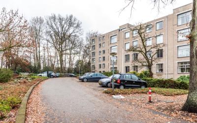 Oude Graafs. 237